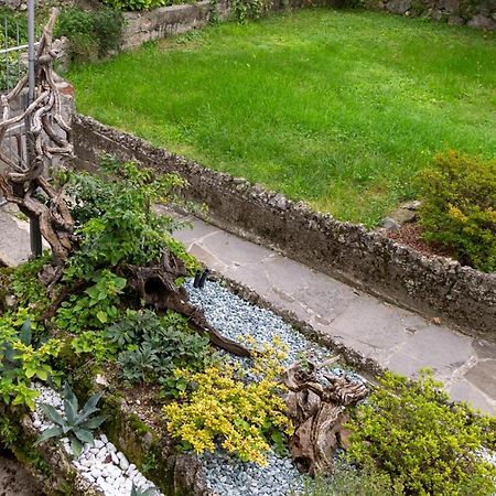 Le Coccinelle Home A Lierna Dış mekan fotoğraf