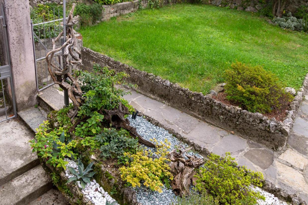 Le Coccinelle Home A Lierna Dış mekan fotoğraf